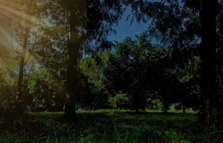 Well-being image