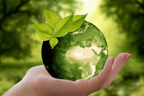 Sustainability image